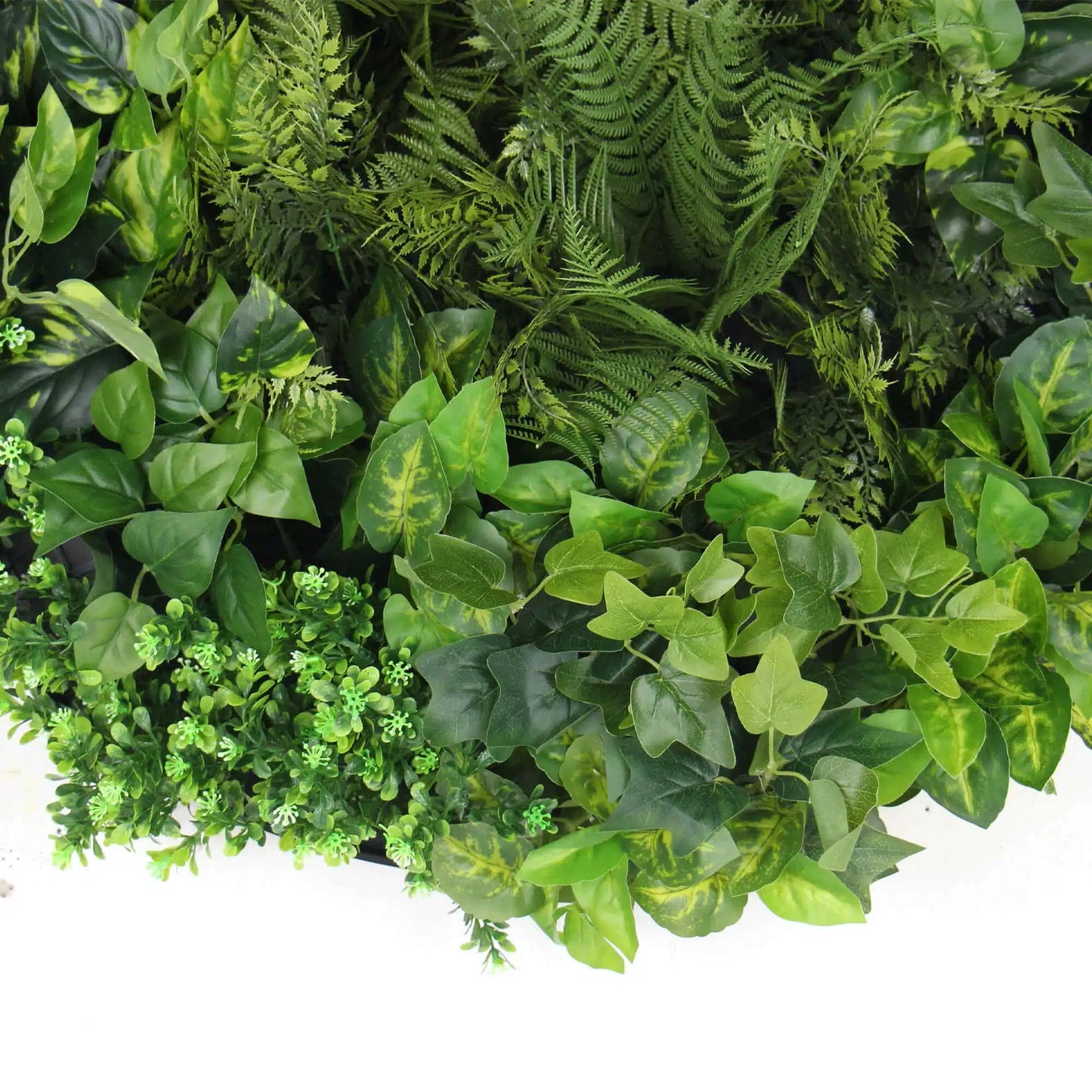 Slimline Artificial Green Wall Disc Art 80cm Mixed Green Fern & Ivy (Modern Black) - Image 4