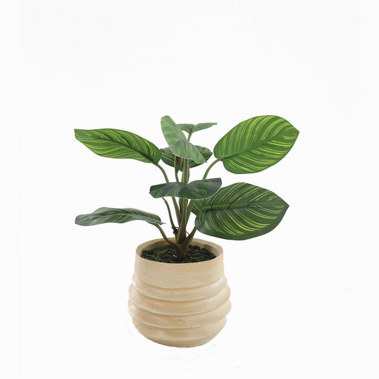 Muse Artifical Arrowroot in Ceramic Pot 34cm - Image 2