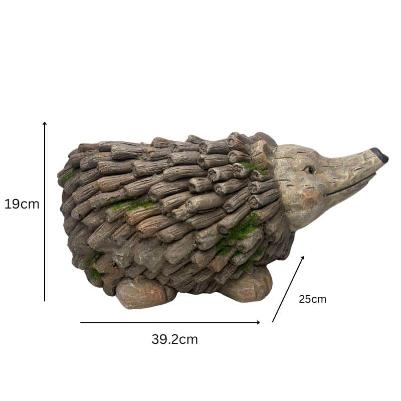 Forest Echidna Planter W Hole & Plug 39x19cm - Image 5