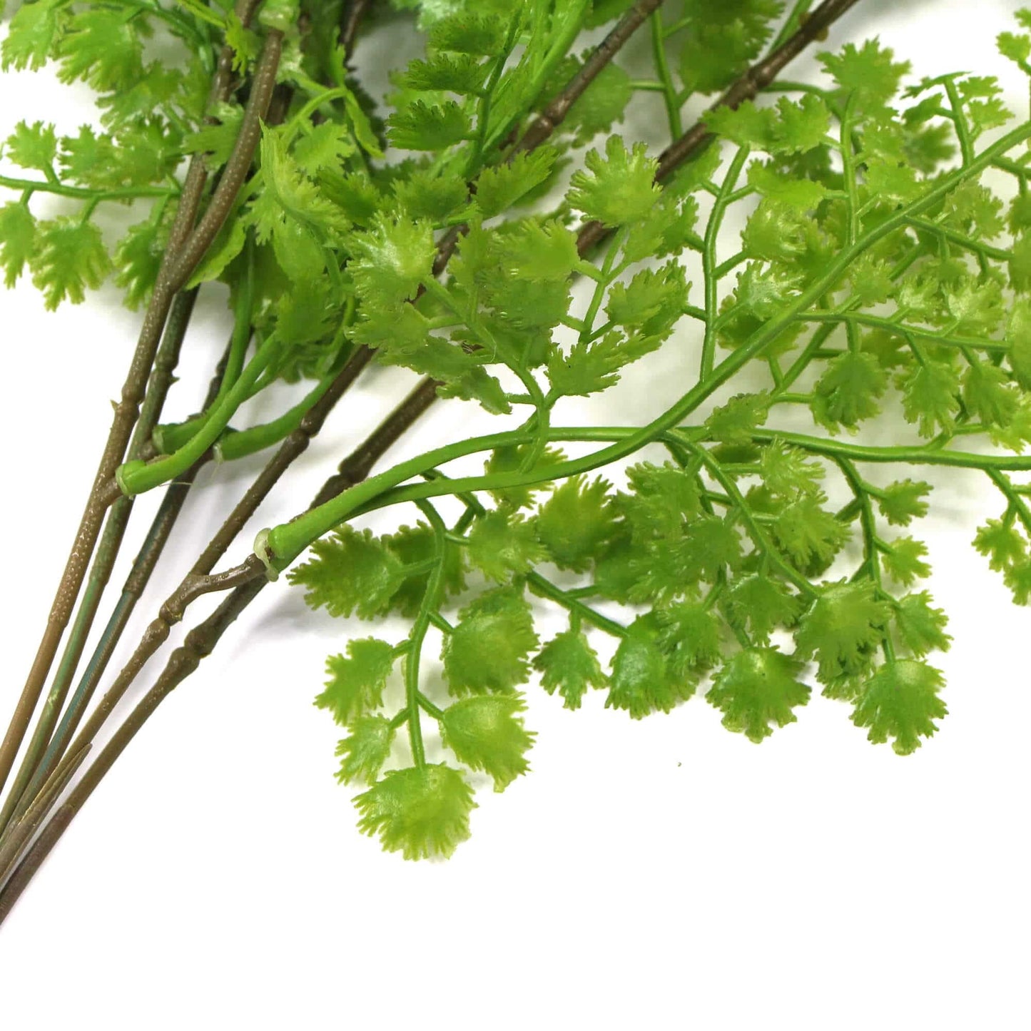 Hanging Native Green Dense Maiden Hair Fern Bush UV Resistant 80cm - Image 5