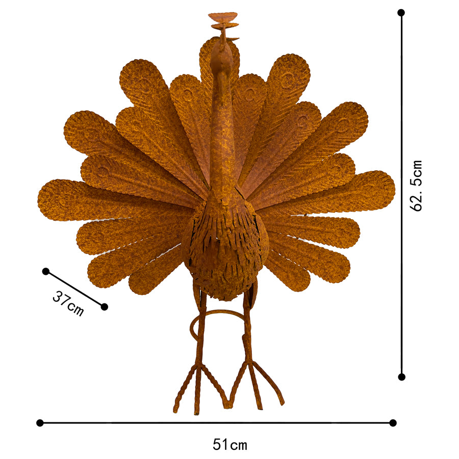 Rust Proud Standing Peacock Statue 63x51cm - Image 5