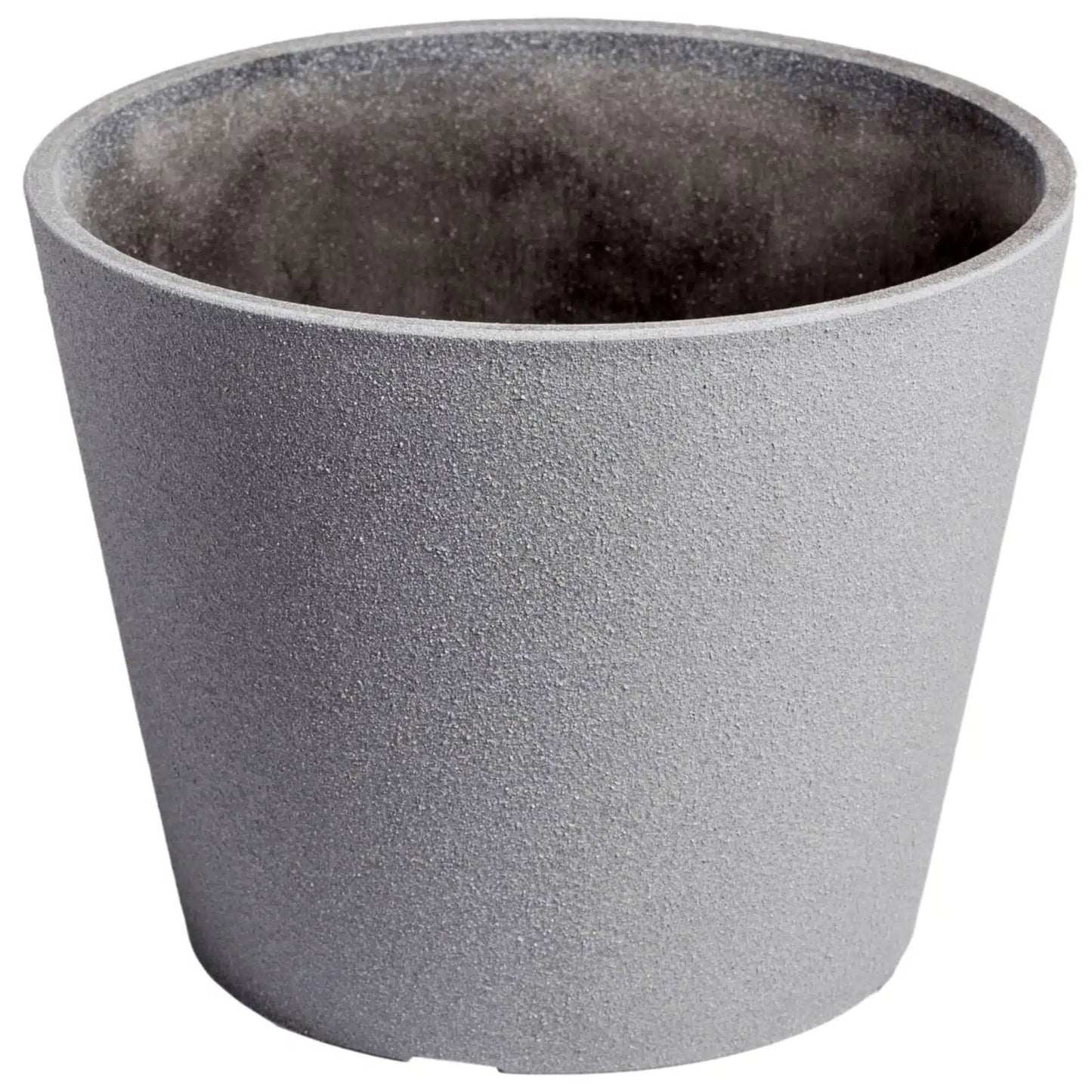 Premium Areca Palm Tree and Render Pot Bundle - Image 4