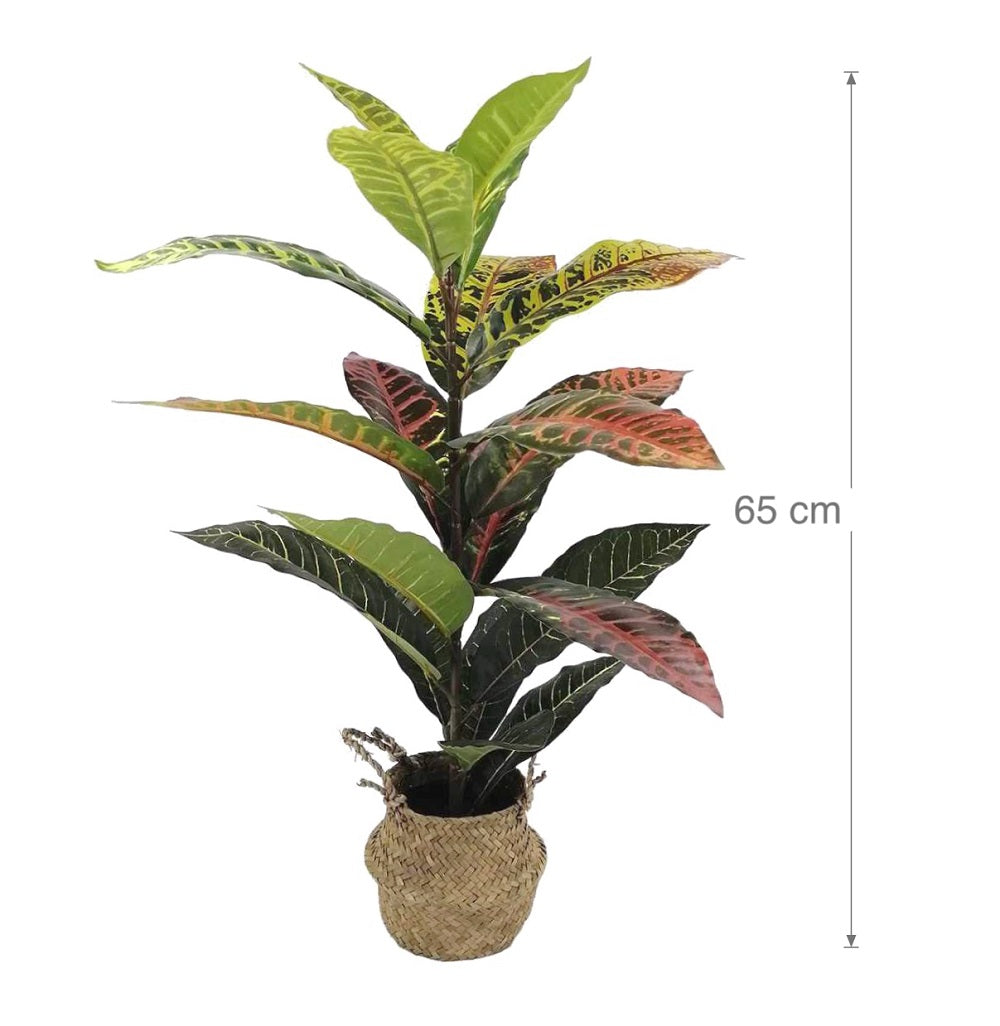 Artificial Croton in Rattan Pot 65cm