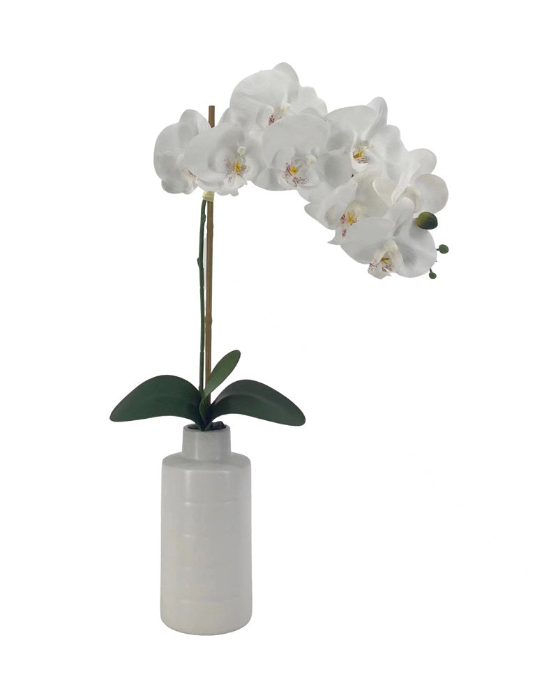 Artificial Orchid in Ceramic Pot 55cm
