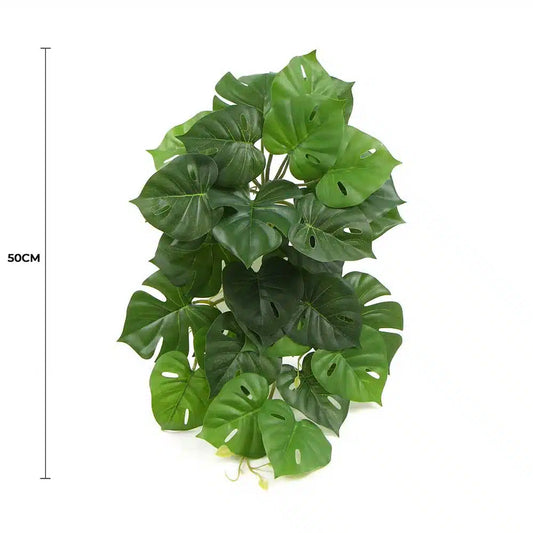 Artificial Monstera Adansonii Plant 50cm - Image 2