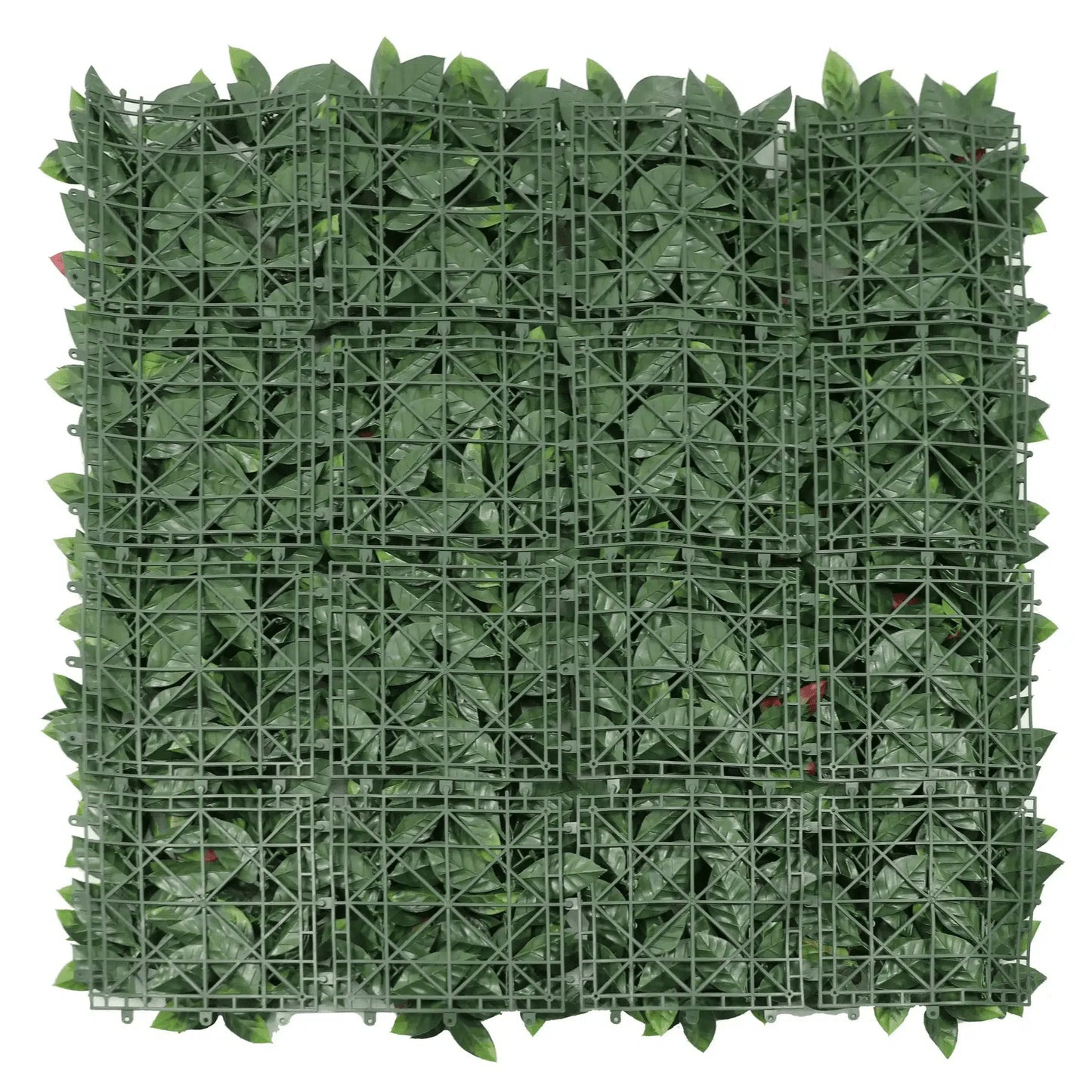 Photinia (Red Robin) Hedge Leaf Screens / Panels UV Resistant 1m x 1m - Image 4