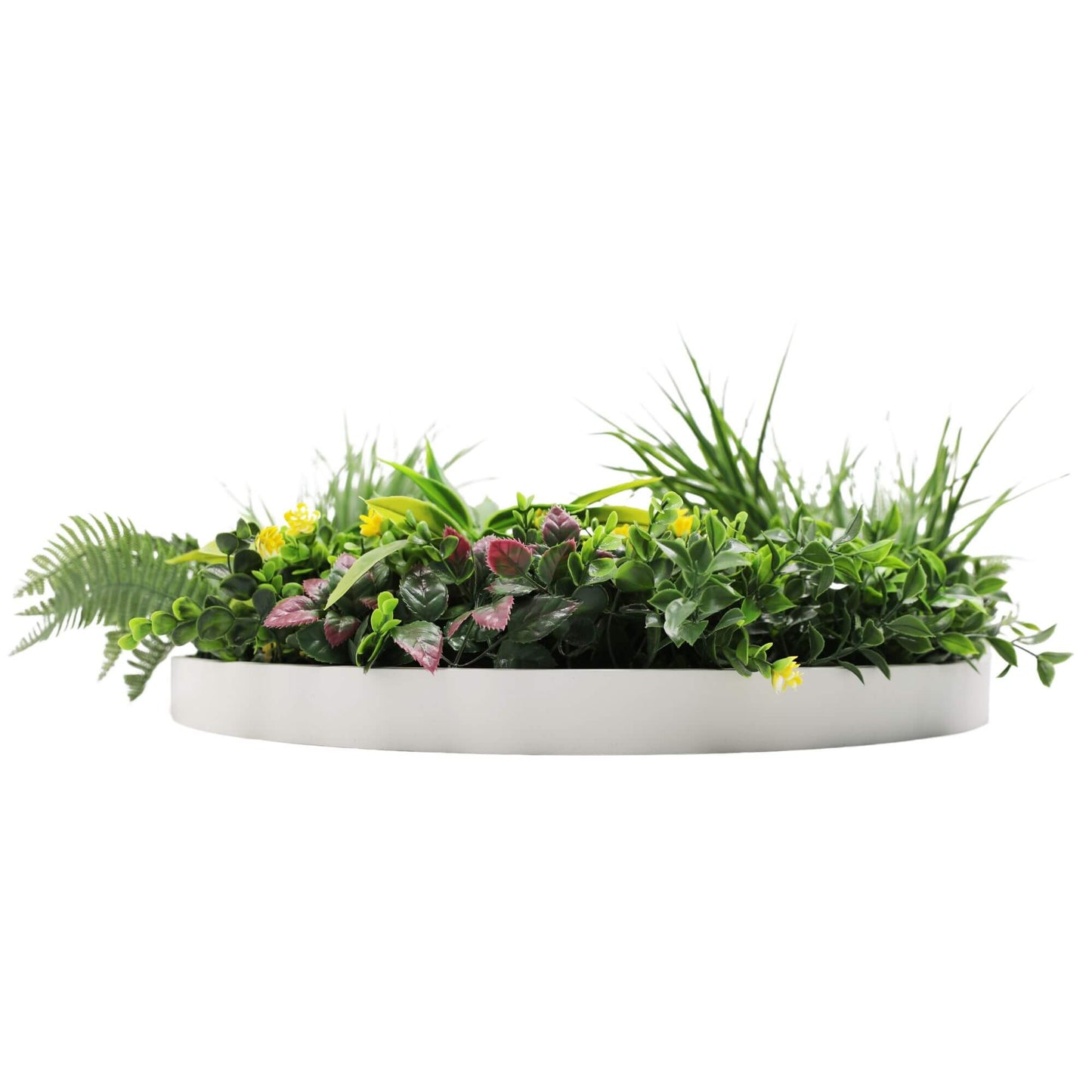 Slimline Artificial Green Wall Disc Art 60cm Country Fern UV Resistant (White) - Image 4