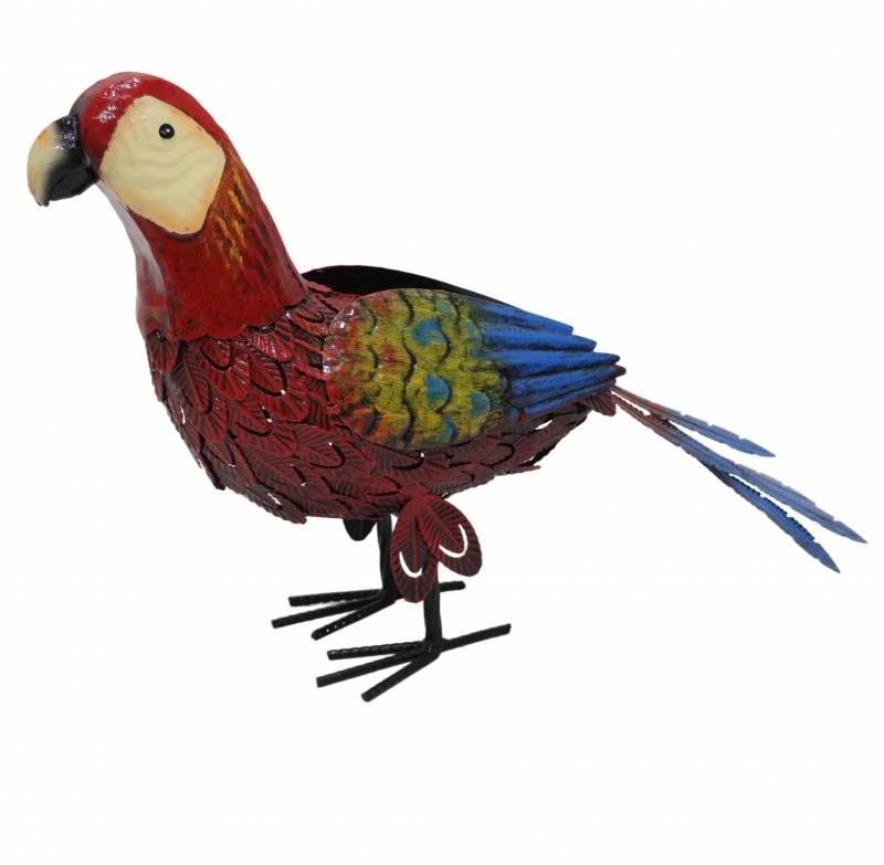 Peter Parrot Garden Ornament 35cm
