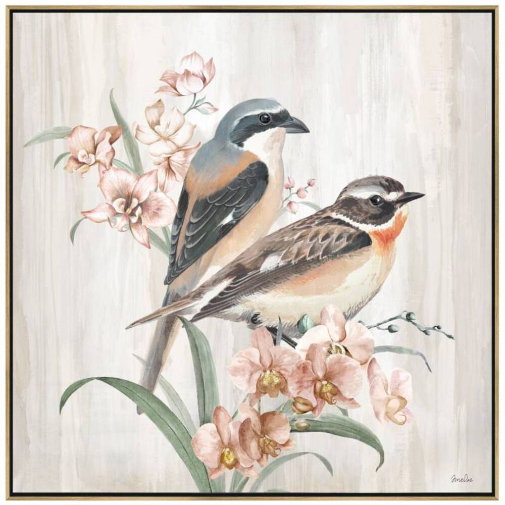 Dreaming Bird Framed Canvas Wall Art 80cm