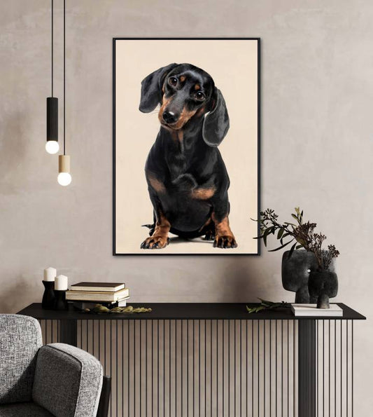 Timothy Dachshy Dog Framed Canvas 90cm - Image 2