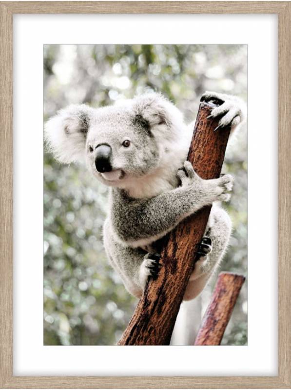 Koala On The Tree Artwork 80cm