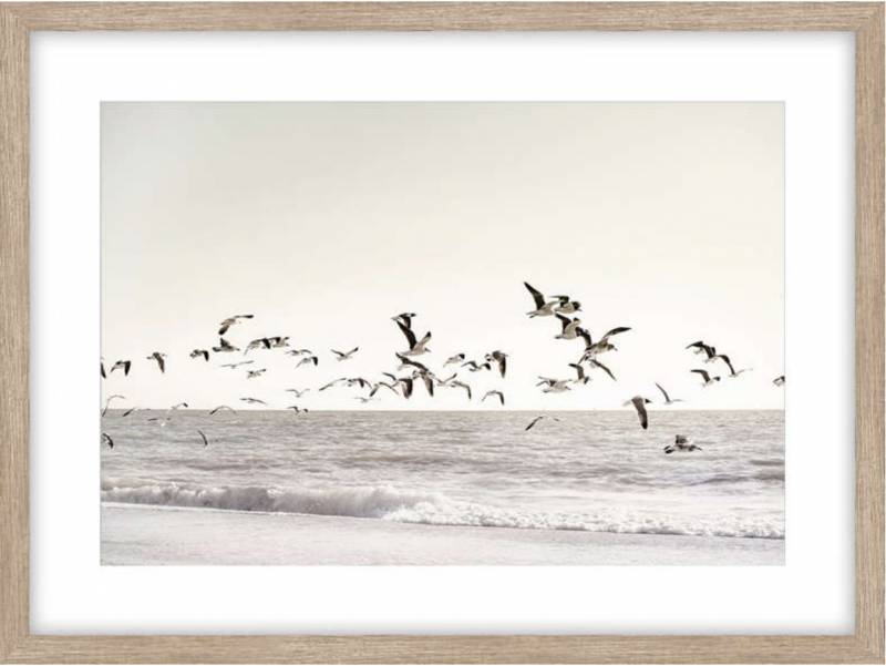 Birds On A Misson Framed Artwork 80cm