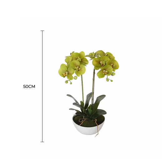 Two Stem Butterfly Artificial Orchid Cream 50cm - Image 2