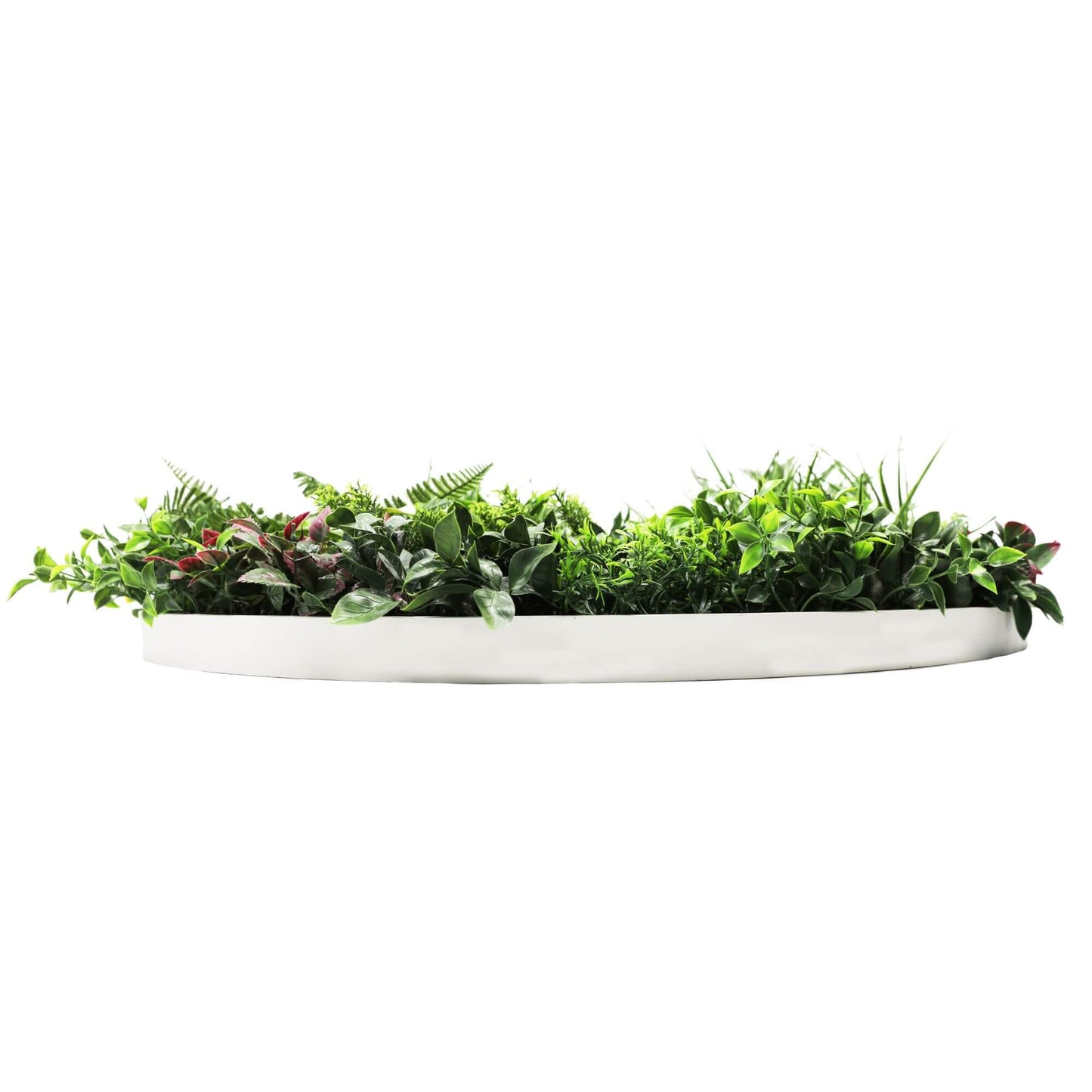 Slimline Artificial Green Wall Disc Art 100cm Country Fern UV Resistant (White) - Image 4