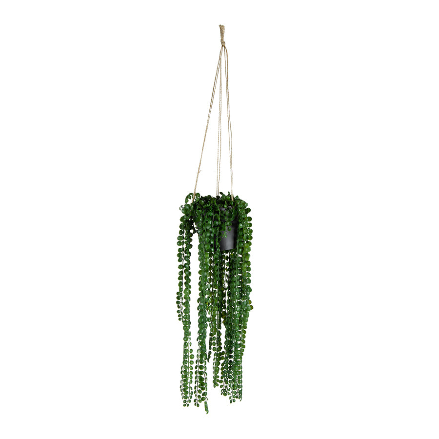 Potted Hanging Artificial Coin Leaf Peperomia 45cm - Image 2