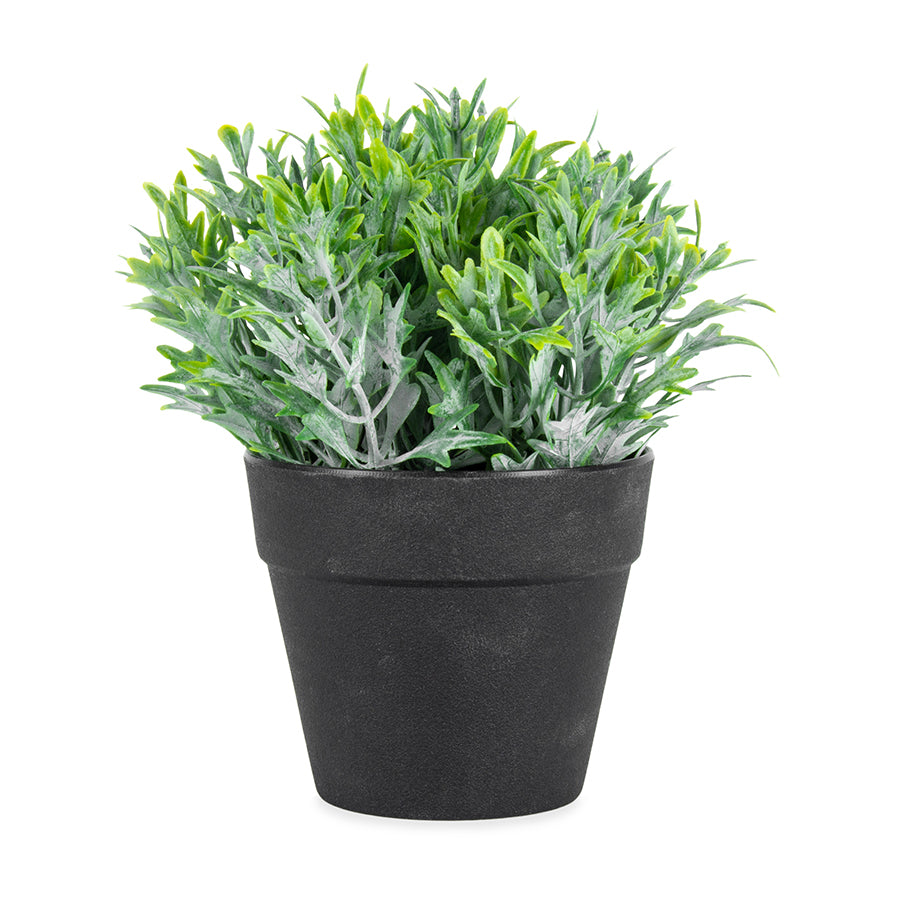 Potted Artificial Finger Grass 18cm - Image 2
