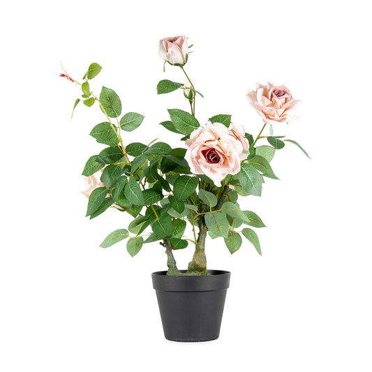 Potted Artificial Lagerfield Rose 65cm