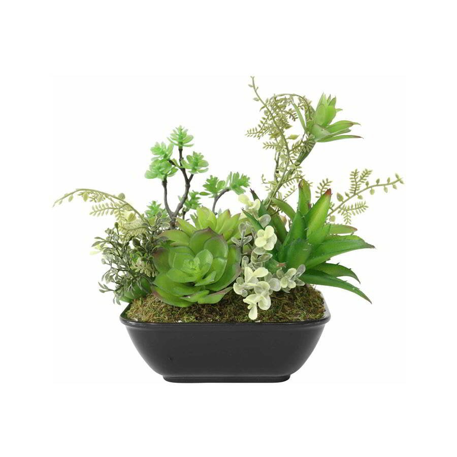 Set 2 Asst Potted Artificial Succulents 19cm - Image 3