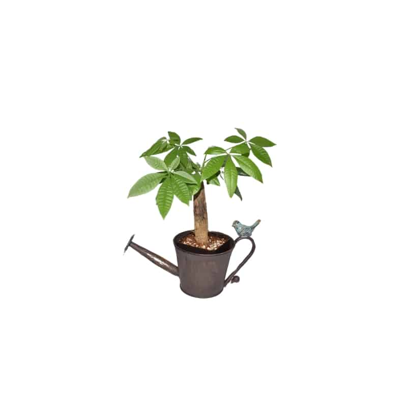 Watering Can Shape Potplanter w Blue Flower 28cm - Image 3