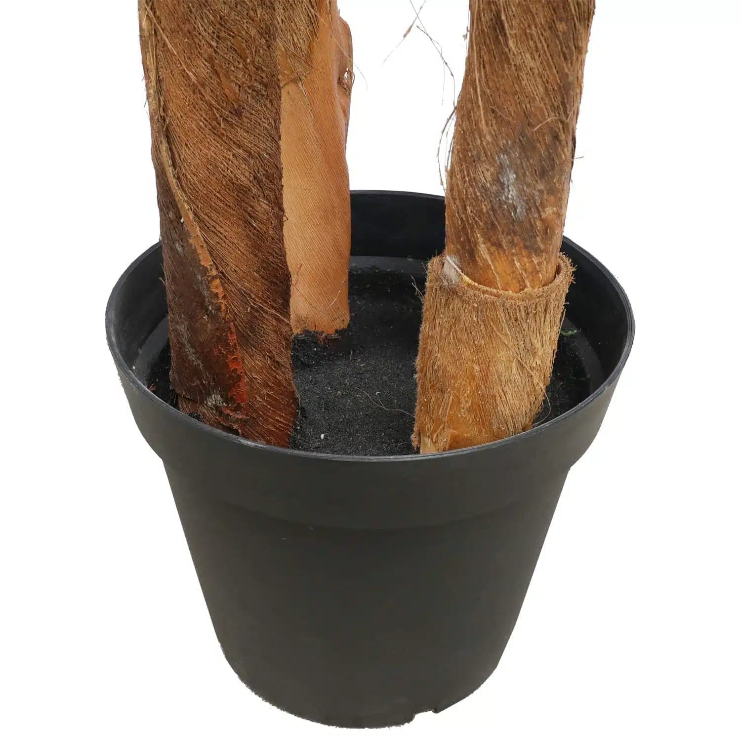 Large Tropical Palm Tree (Amazingly Real) 300cm - Image 3