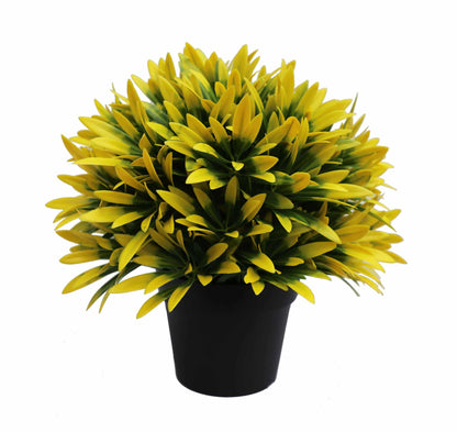 UV Treated 20cm Small Potted Plants Bundle - Image 2