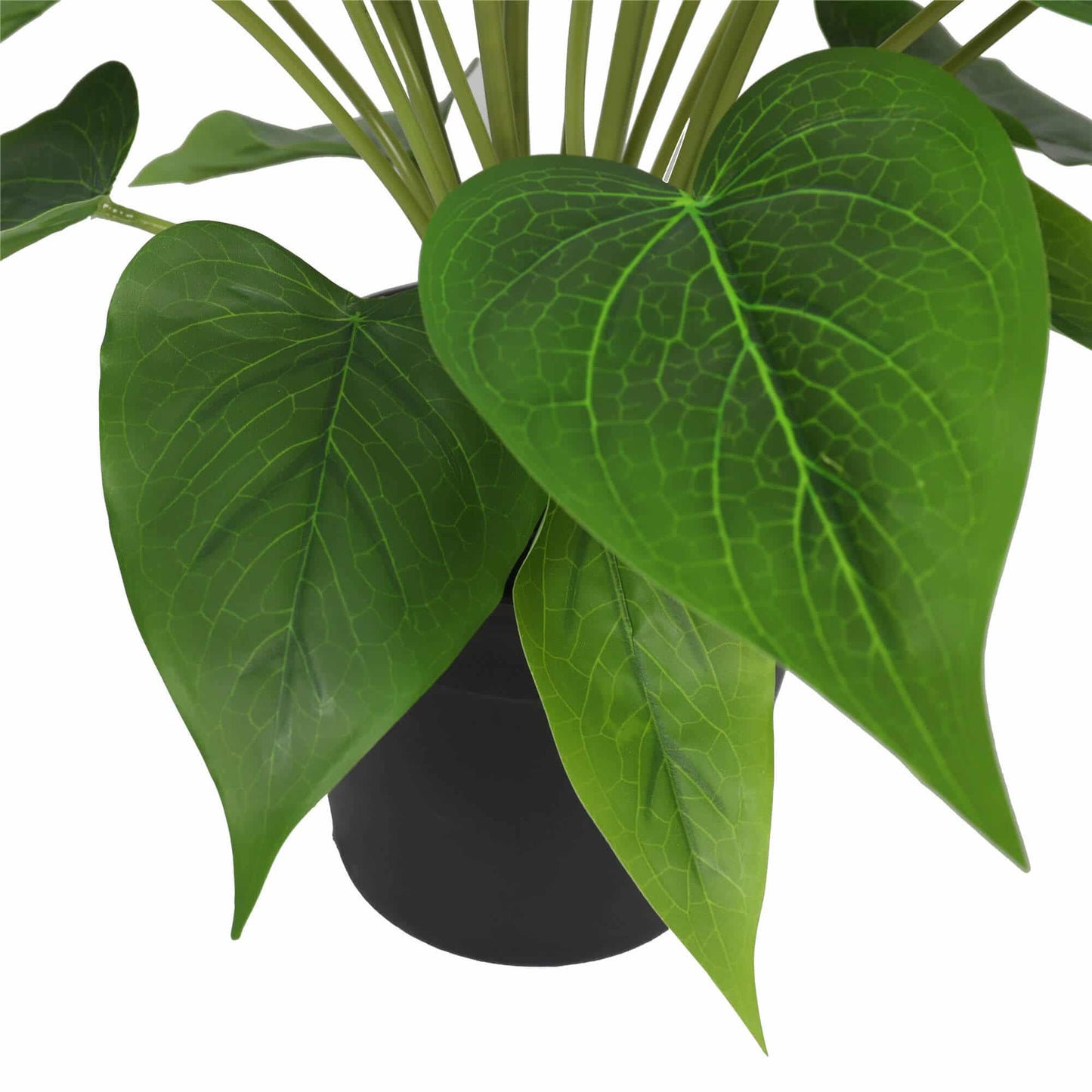 Artificial Flowering White & Orange Peace Lily / Calla Lily Plant 50cm - Image 4