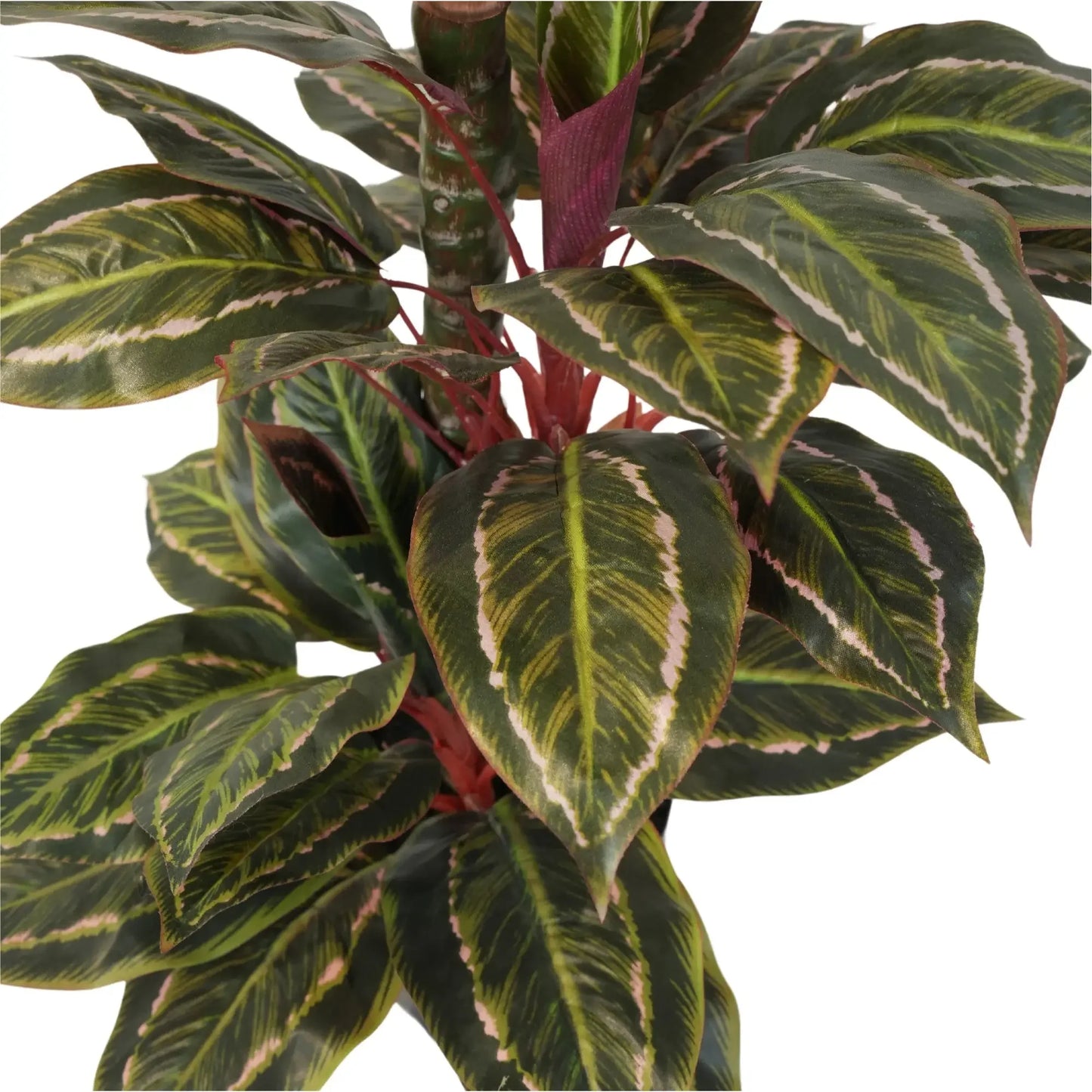 Artificial Wide Leaf Cordyline Plant 90cm - Image 4