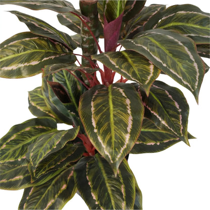 Artificial Wide Leaf Cordyline Plant 90cm - Image 4
