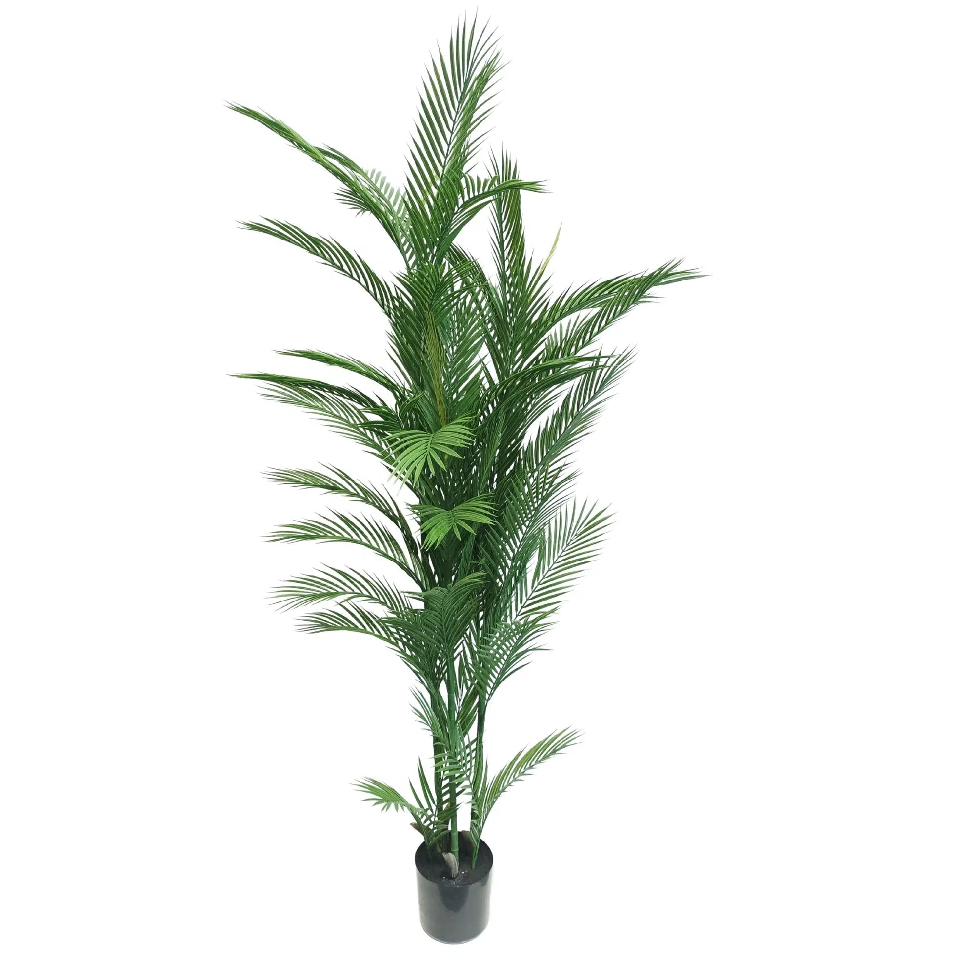 Real Touch Artificial Phoenix Palm Tree UV Resistant 180cm - Image 2
