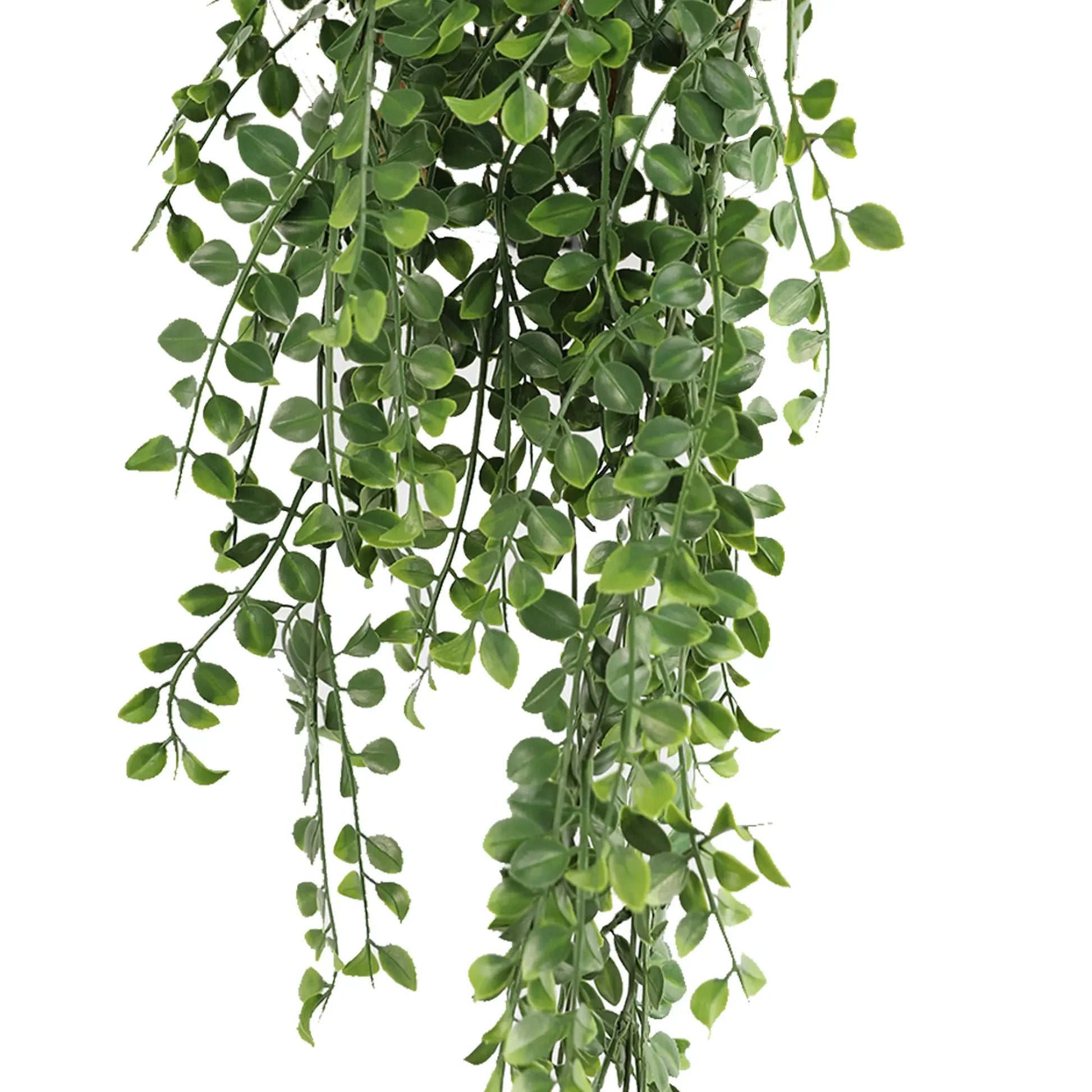 Artificial Hanging Dark Green Hanging Pearls Garland Bush UV Resistant and Fire Rated 20cm x 79cm - Image 3