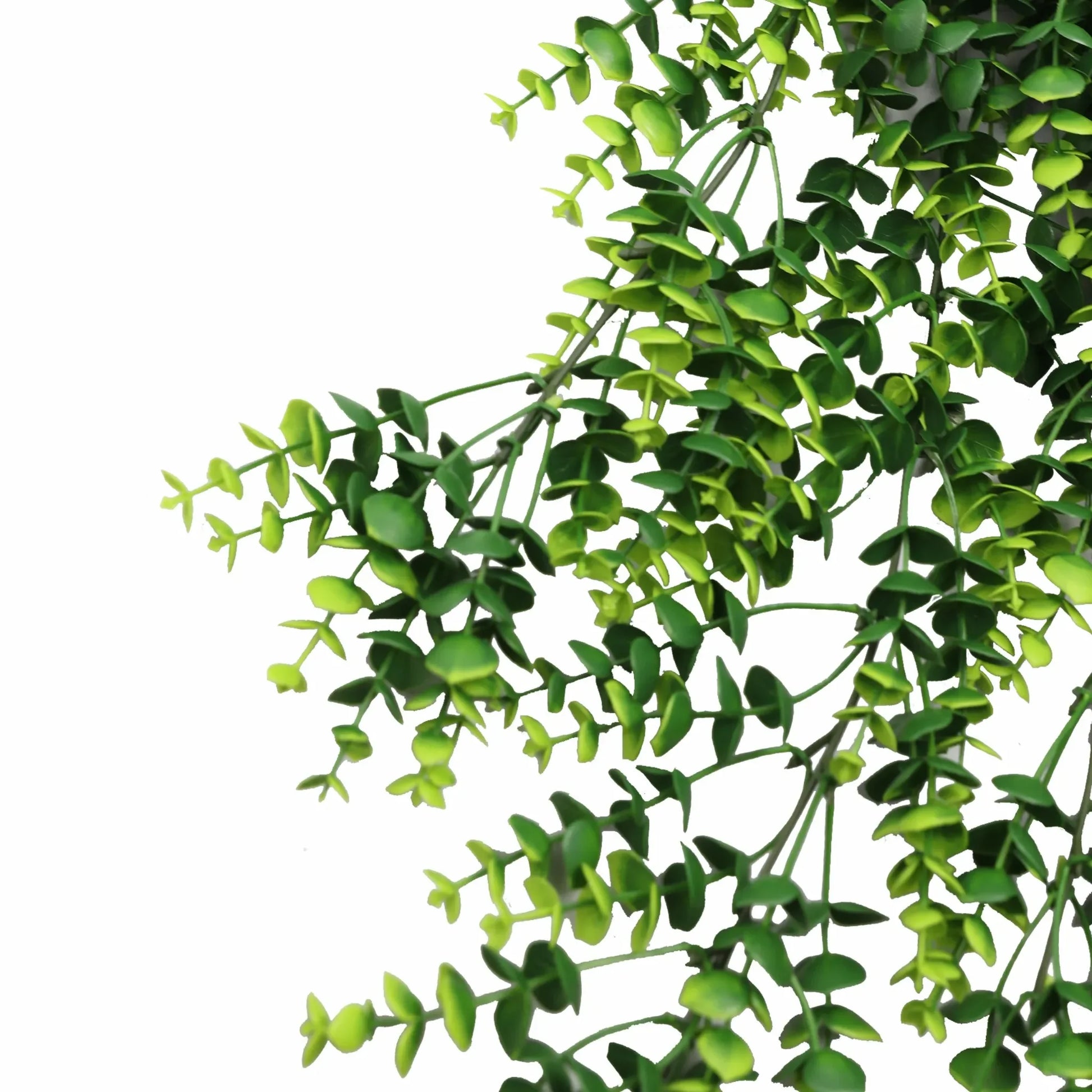 Artificial Dense Hanging Lush Green Eucalyptus Garland Bush UV Resistant and Fire Rated 18cm x 77cm - Image 4