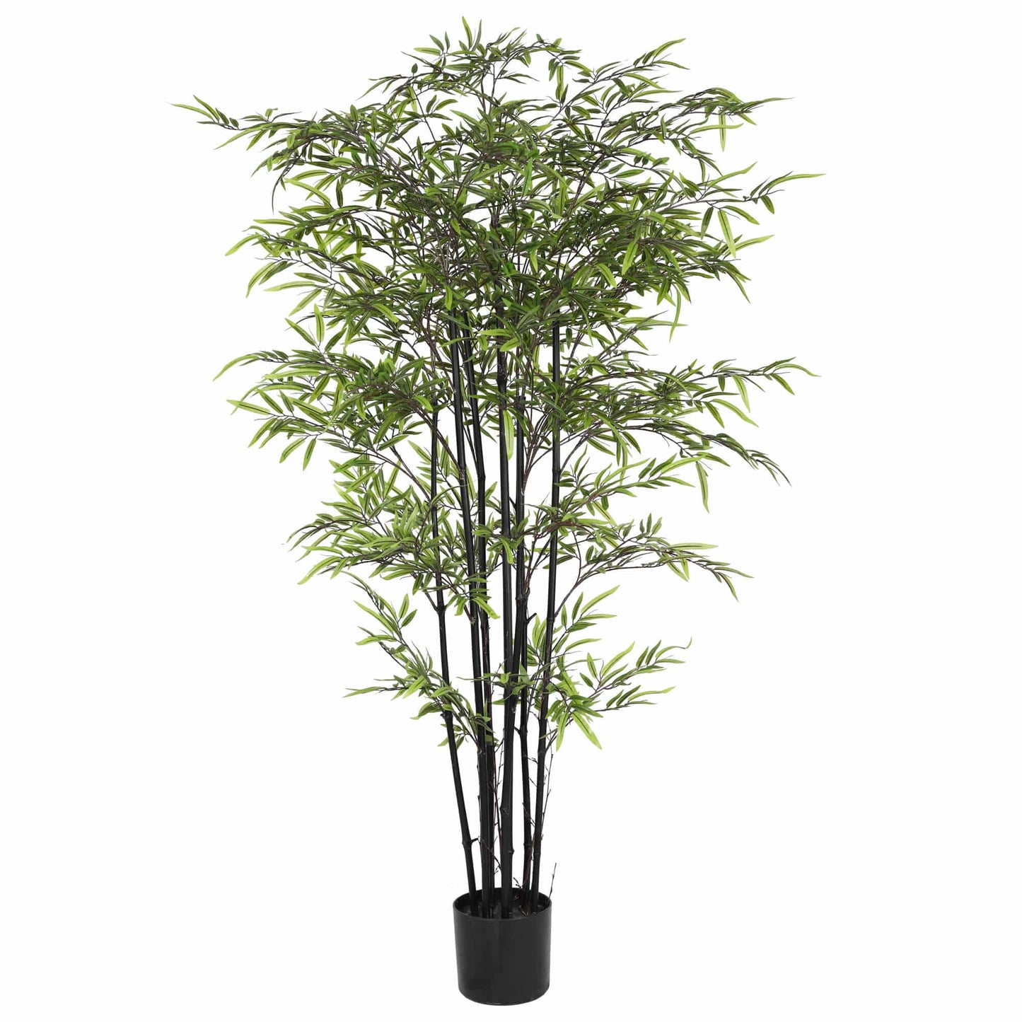 Premium Dense Artificial Black Bamboo 180cm - Image 3