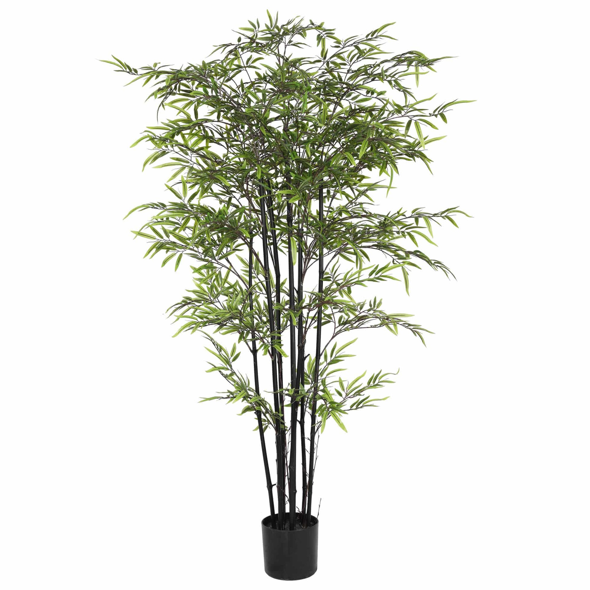 Premium Dense Artificial Black Bamboo 180cm - Image 3