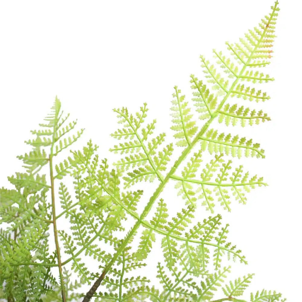 Faux Natural Fern Tree 90cm - Image 3