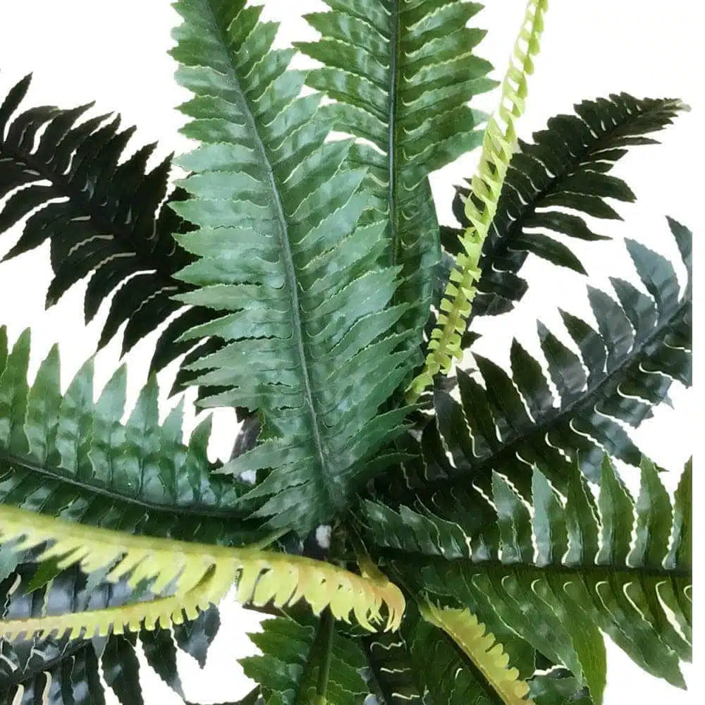 Artificial Dark Green Boston Fern 60cm - Image 3