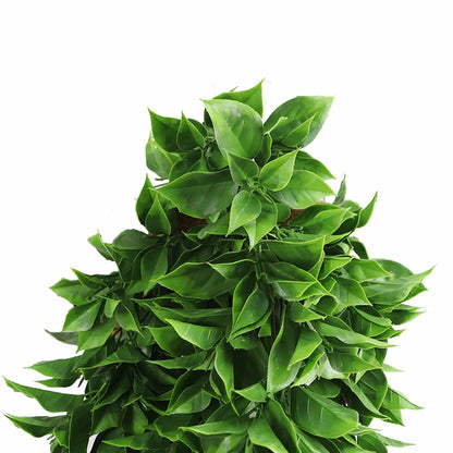 Artificial Dense Hanging Flowering Pothos Bush Vivid Green UV Resistant and Fire Rated 27cm x 72cm - Image 2