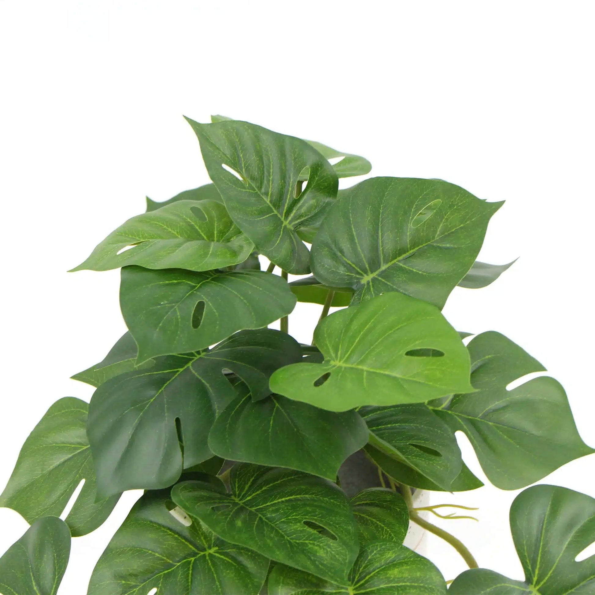 Decorative Artificial Monstera Adansonii Plant in Ceramic Bowl 30cm - Image 3