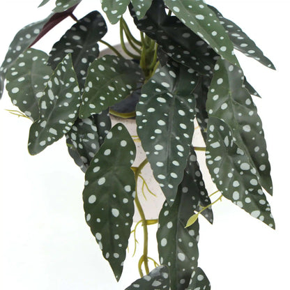 Artificial Begonia Maculata Plant In Decorative Bowl 30cm - Image 4