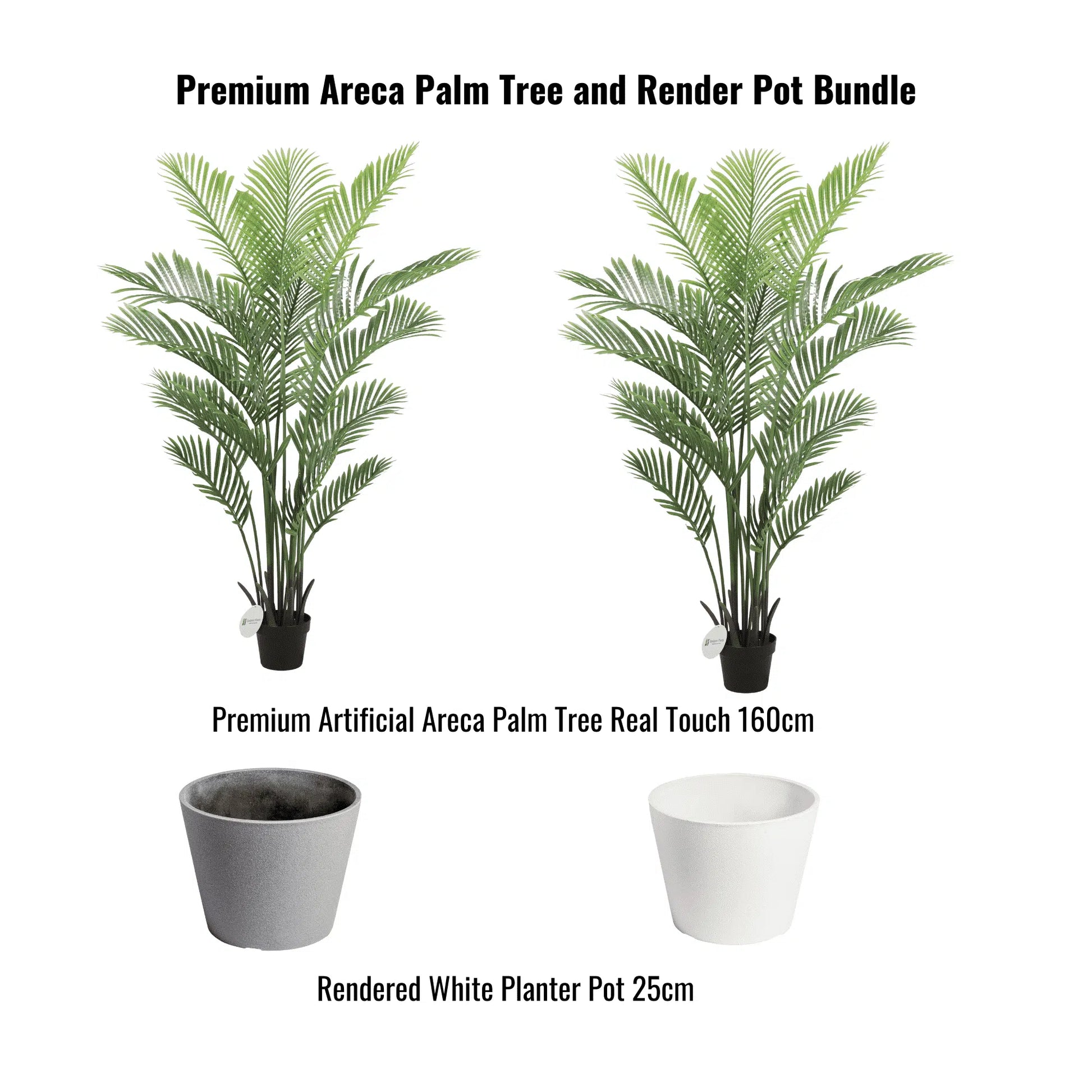 Premium Areca Palm Tree and Render Pot Bundle - Image 2