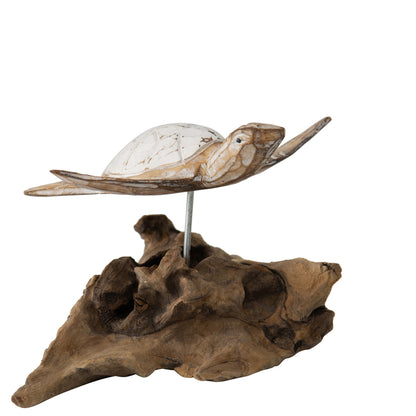 Handcarved Turtle on Driftwood Base 10x15cm