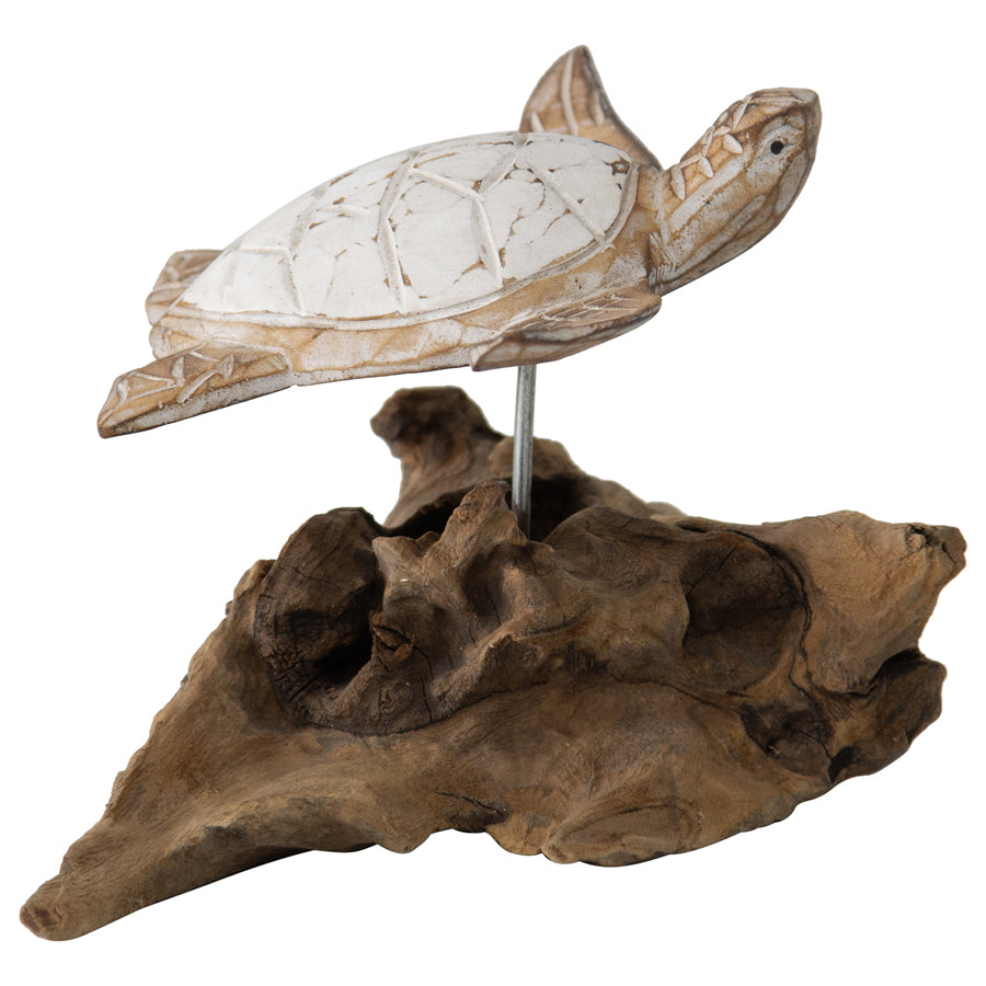 Handcarved Turtle on Driftwood Base 10x15cm - Image 4