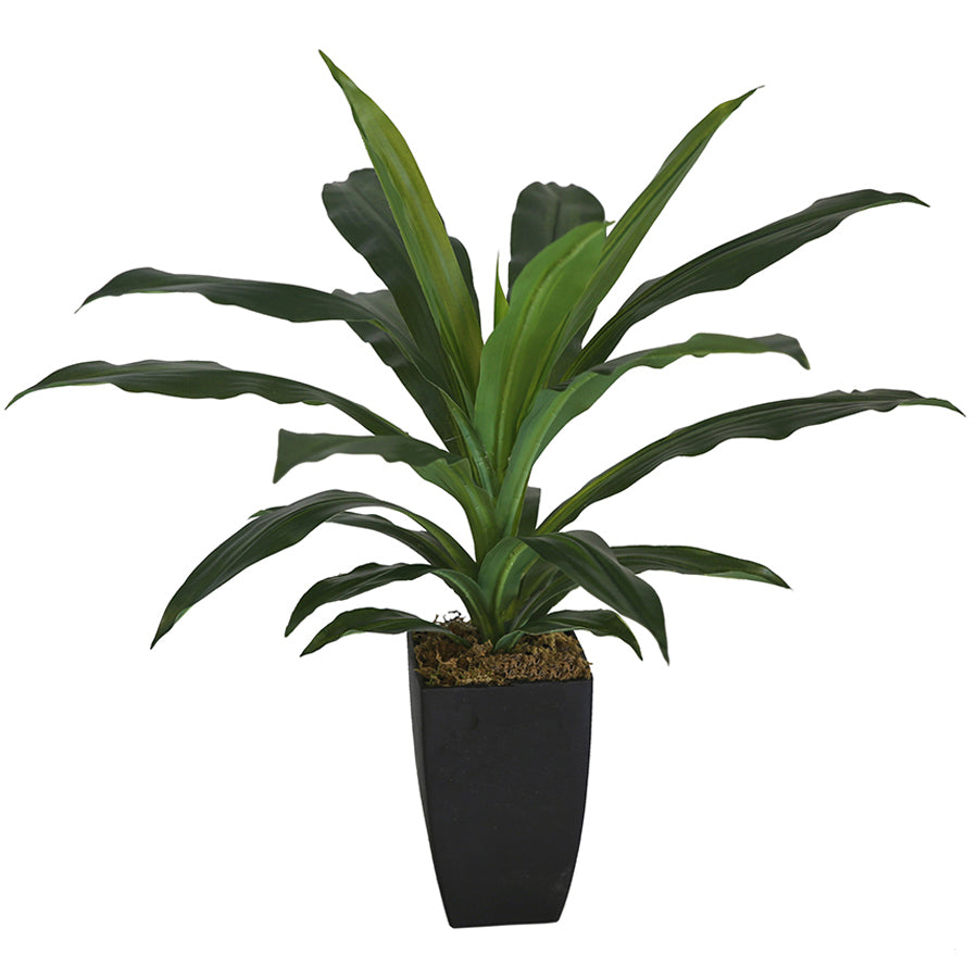 Potted Artificial Faux Janet Craig Dracaena 58cm - Image 2