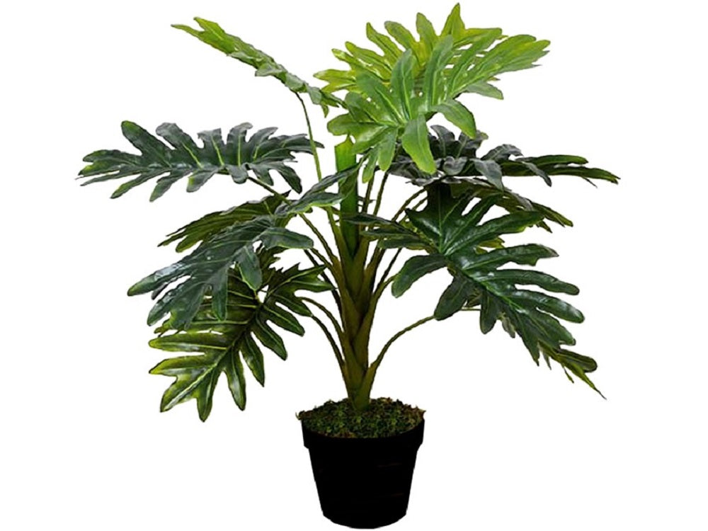 Artificial Janet Craig Dracaena in Pot 70cm - Image 4
