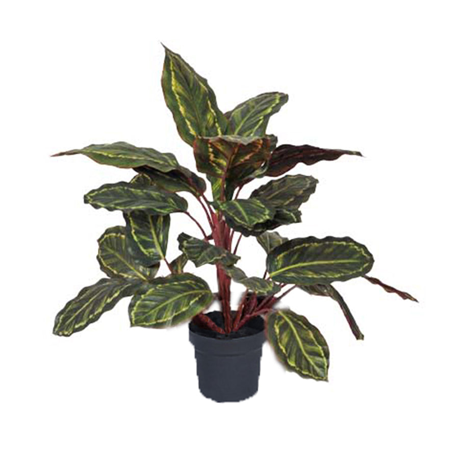 Potted Artificial Faux Calathea Plant 50cm