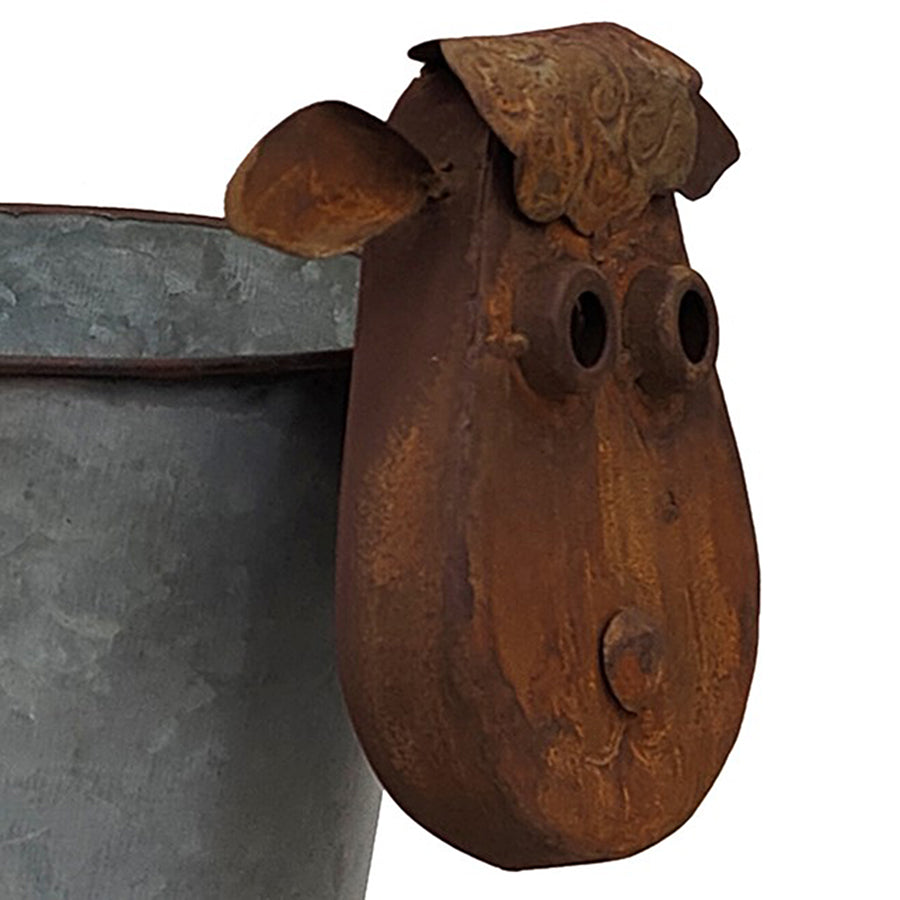 Rusty Sheep Planter W Galv Pot 31x34cm - Image 4