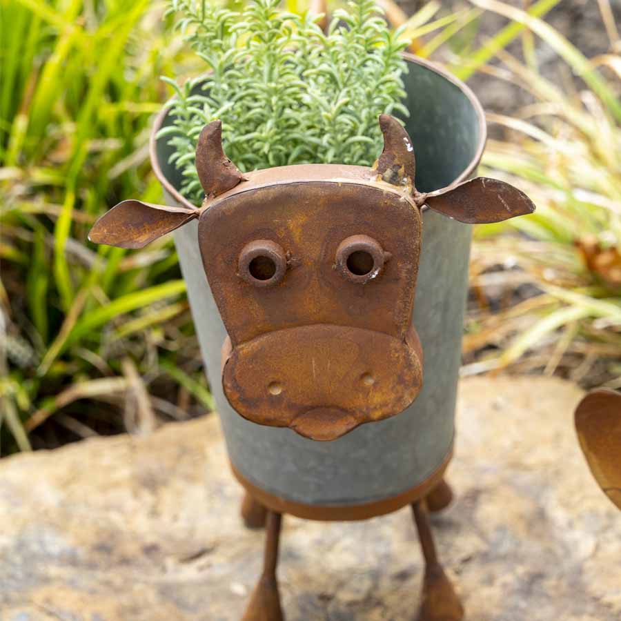 Rusty Cow Planter W Galv Pot 32x37cm - Image 3