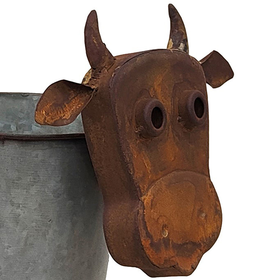 Rusty Cow Planter W Galv Pot 32x37cm - Image 4