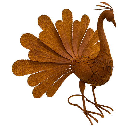 Rust Proud Standing Peacock Statue 63x51cm