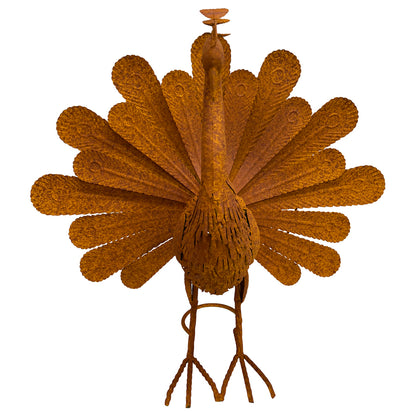 Rust Proud Standing Peacock Statue 63x51cm - Image 2
