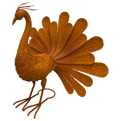 Rust Proud Standing Peacock Statue 63x51cm - Image 3